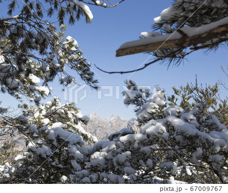 韓国 ソウル市 鍾路区 67009767