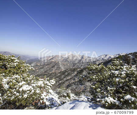 韓国 ソウル市 鍾路区 67009799