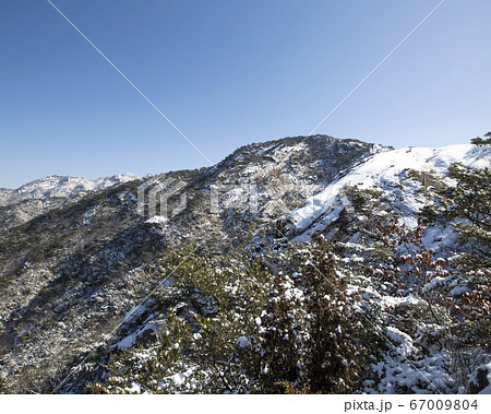 韓国 ソウル市 鍾路区 67009804