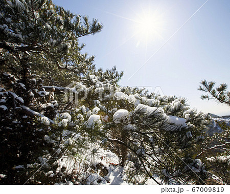 韓国 ソウル市 鍾路区 67009819