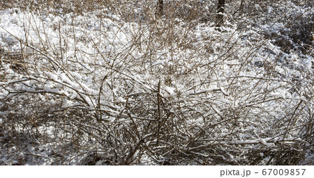 韓国 ソウル市 鍾路区 67009857