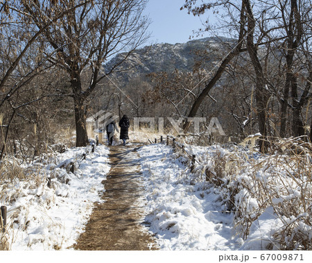 韓国 ソウル市 鍾路区 67009871