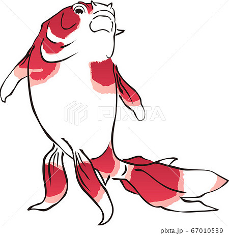 浮世絵　金魚　その26 67010539