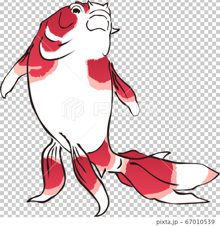 浮世絵　金魚　その26 67010539