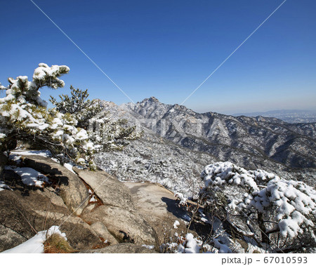 韓国 ソウル市 鍾路区 67010593