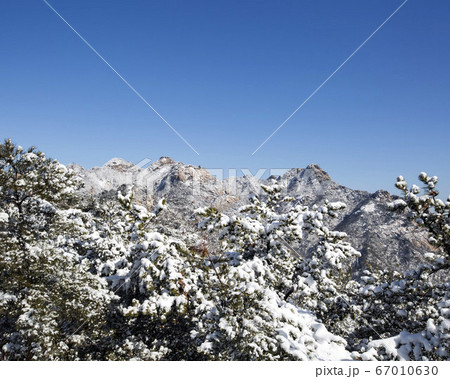 韓国 ソウル市 鍾路区 67010630