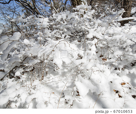 韓国 ソウル市 鍾路区 67010653