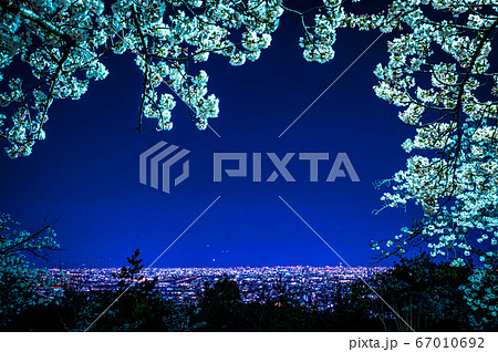 宝塚中山桜台公園の夜桜と眺望、大阪空港 宝塚中山桜台公園の夜桜と眺望、大阪空港 67010692