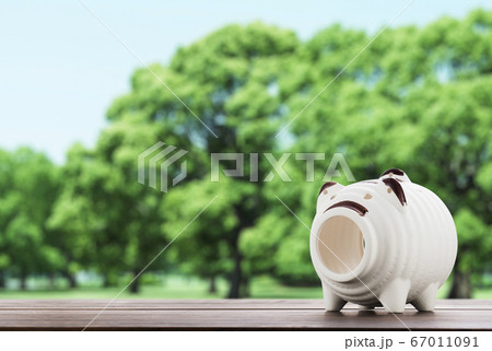 豚の蚊取り線香 67011091