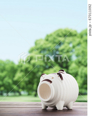 豚の蚊取り線香 豚の蚊取り線香 67011092