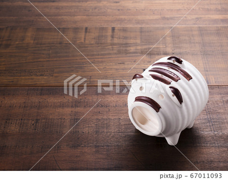 豚の蚊取り線香 67011093