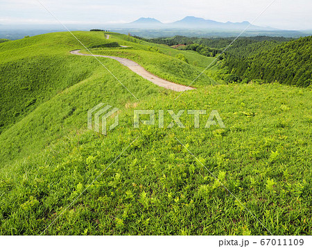 産山村の草原 産山村の草原 67011109