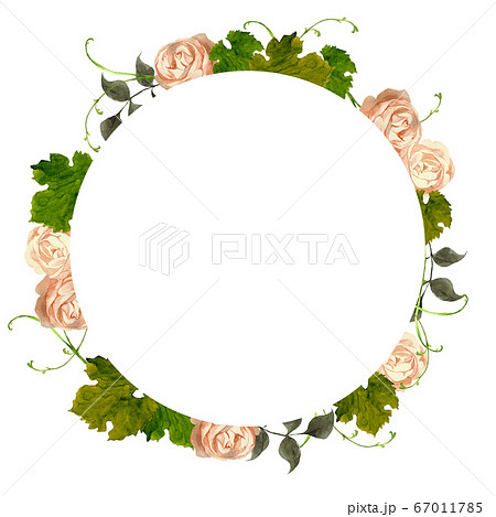 ピンクの薔薇の円形フレームのイラスト素材