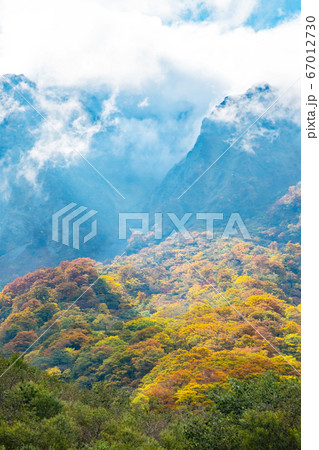 大山川床から眺める北壁の紅葉 67012730