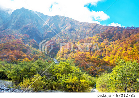 大山川床から眺める北壁の紅葉 67012735