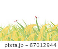 20_四季_9月_稲穂_ヨコ_背景白 67012944