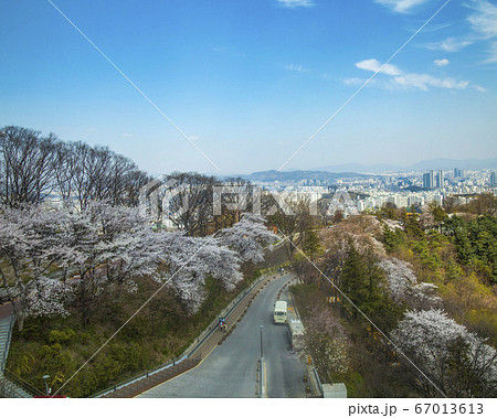 韓国 ソウル市 中区 67013613