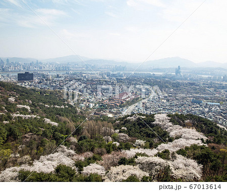 韓国 ソウル市 中区 67013614