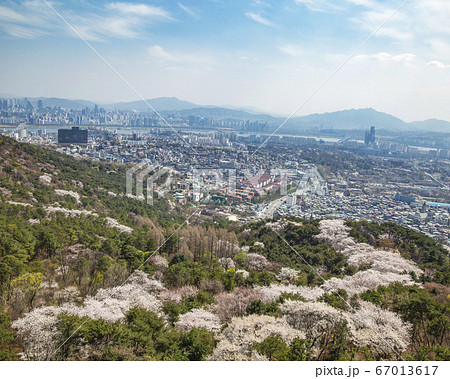 韓国 ソウル市 中区 67013617