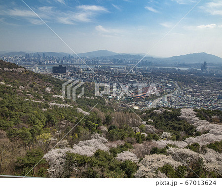 韓国 ソウル市 中区 67013624