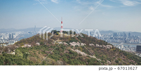 韓国 ソウル市 中区 67013627