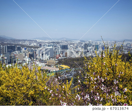 韓国 ソウル市 中区 67013674