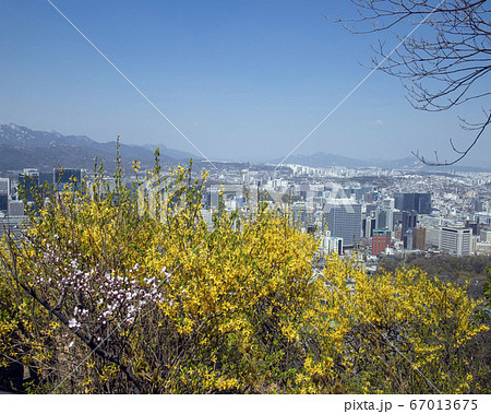 韓国 ソウル市 中区 67013675