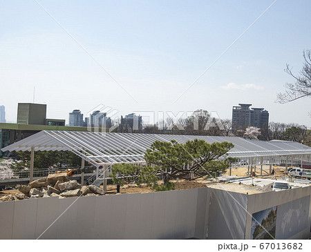 韓国 ソウル市 中区 67013682