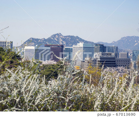 韓国 ソウル市 中区 67013690