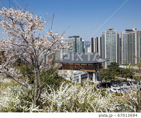 韓国 ソウル市 中区 67013694