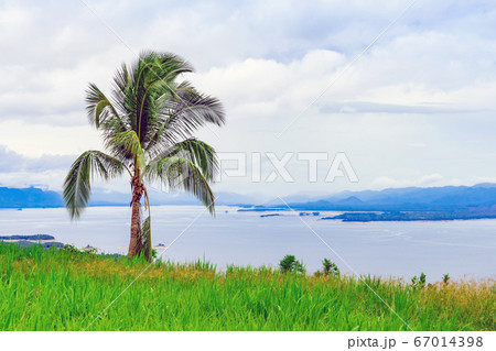 Coconut tree with a beautiful scenery views of nature with a large reservoir above the Srinagarind Dam in Si Sawat District, Kanchanaburi Thailand. 67014398
