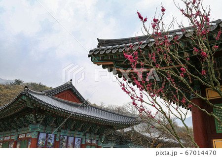 韓国 全羅南道 順天市 67014470