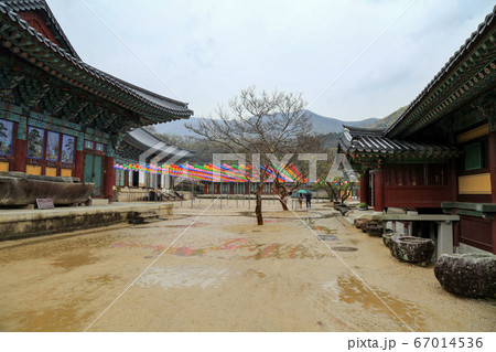 韓国 全羅南道 順天市 67014536