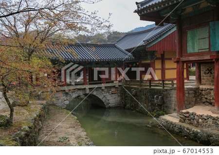 韓国 全羅南道 順天市 67014553