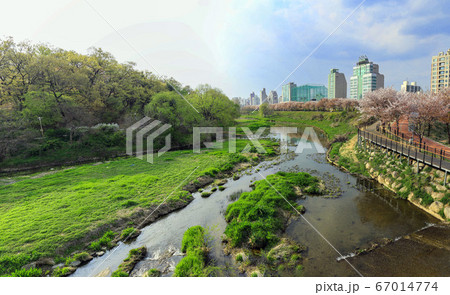 韓国 ソウル市 松坡区 67014774
