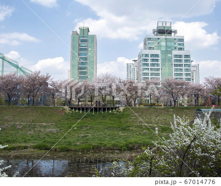 風景 韓国 ソウル市 67014776