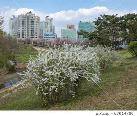 風景 韓国 ソウル市 67014780