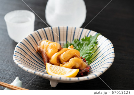 ホヤの刺身 ホヤの刺身 67015123
