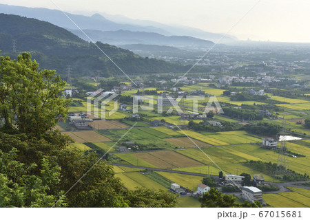 たんぼ 田んぼ 田圃 67015681