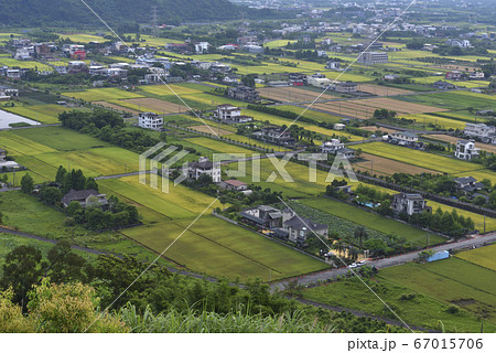 たんぼ 田んぼ 田圃 67015706