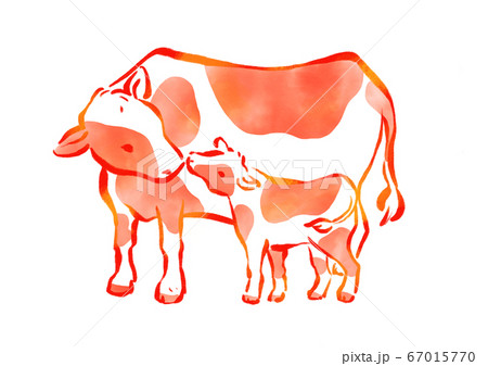 牛の親子イラストのイラスト素材