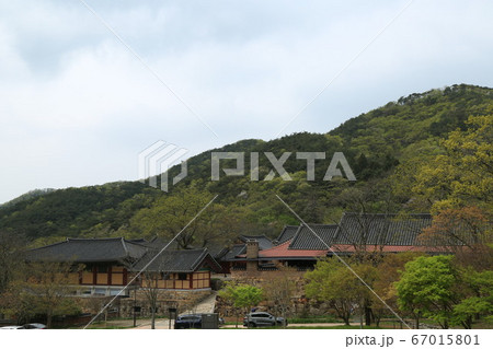韓国 全羅南道 霊光郡 67015801