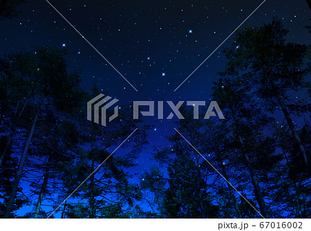 森から見上げる星空 創造アートのイラスト素材