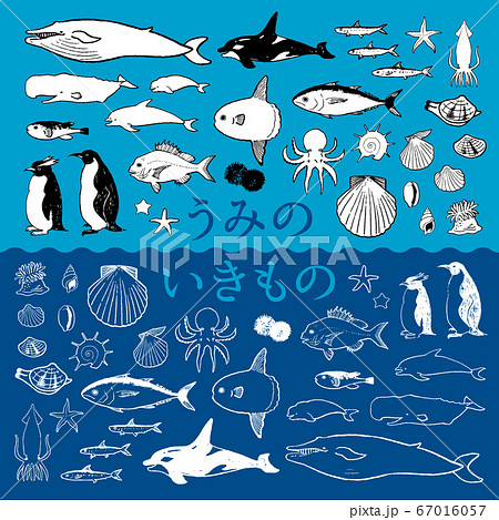 Cartoon Funny Fish, Sea Life .Colored Doodle Set Stock Vector -  Illustration of colorful, collection: 68402285