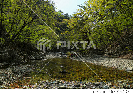 韓国 慶北 浦項市 67016138