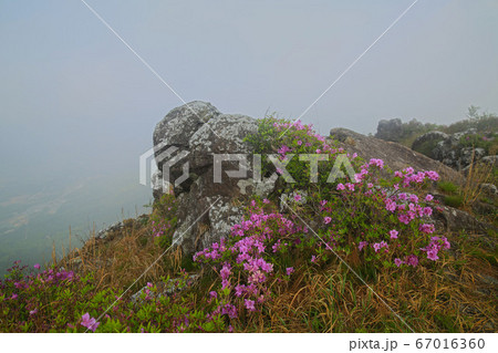 韓国 全羅南道 宝城郡 67016360