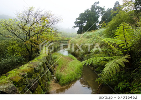 川 大井川 箒川 67016462