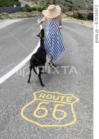 Young attractive woman wearing striped summer dress and straw hat standing on an endless straight empty road in the middle of nowhere on the Route 66 road and feeding black sheep. 67016972