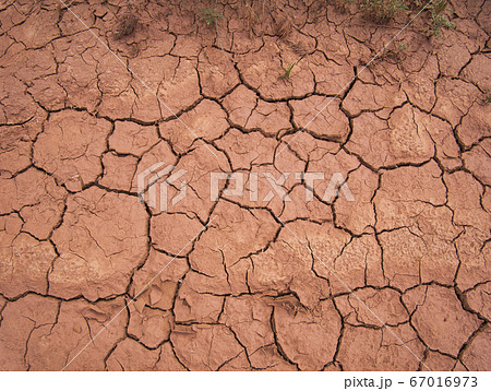 The cracks and crevices in the dried-out earth 67016973