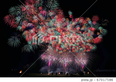 古河花火大会「千輪の花園・田熊火工」 古河花火大会「千輪の花園・田熊火工」 67017586